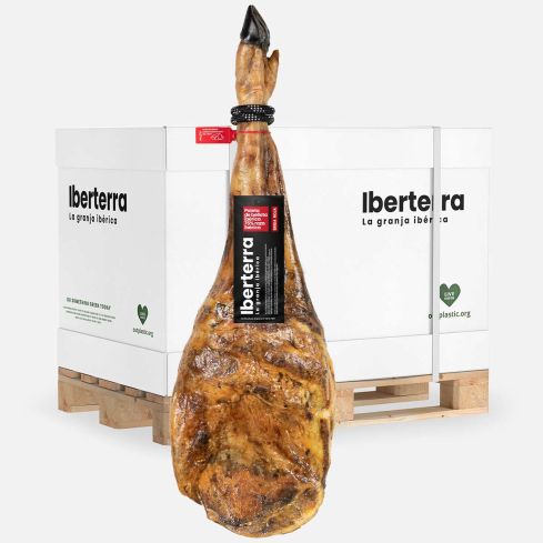 Paleta de bellota 75%-50% ibérica Iberterra Mayorista