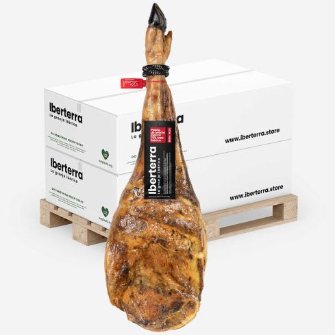 Paleta de bellota 75%-50% ibérica Iberterra Hostelería