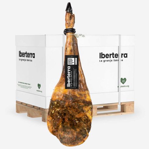 Paleta de cebo ibérica 50% raza Iberterra Mayorista